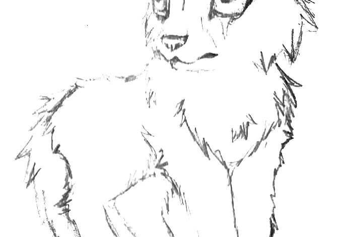 Anime Cute Wolf Drawings Coloring Page