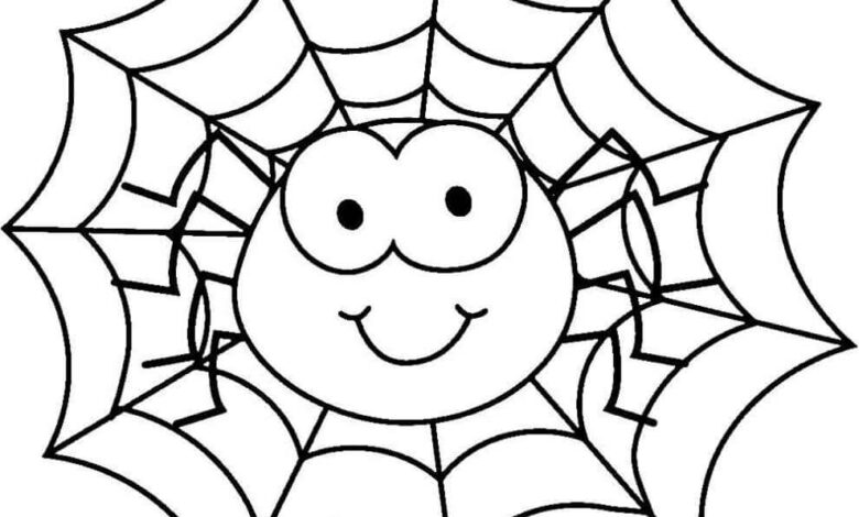 Baby Spider Coloring Page for Kids