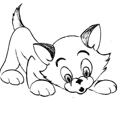 Beginner Cat Coloring Page