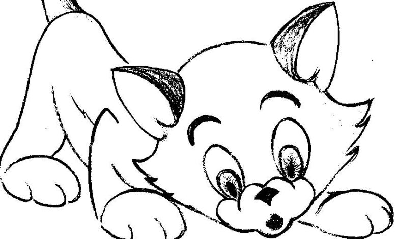Beginner Cat Coloring Page