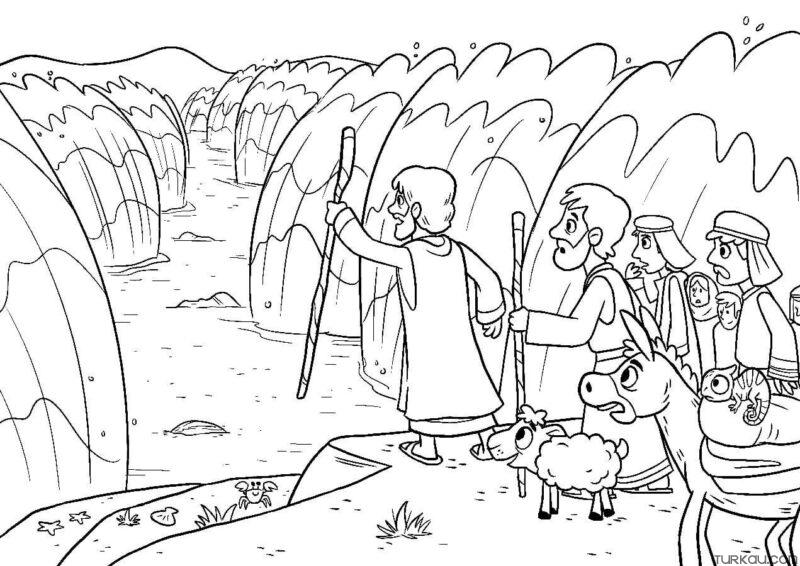 Bible Coloring Pages For Adults » Turkau