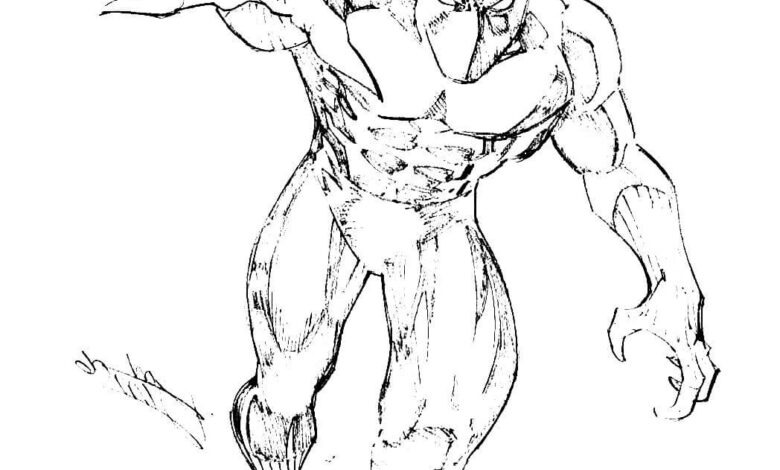 Black Panther Attack Coloring Pages