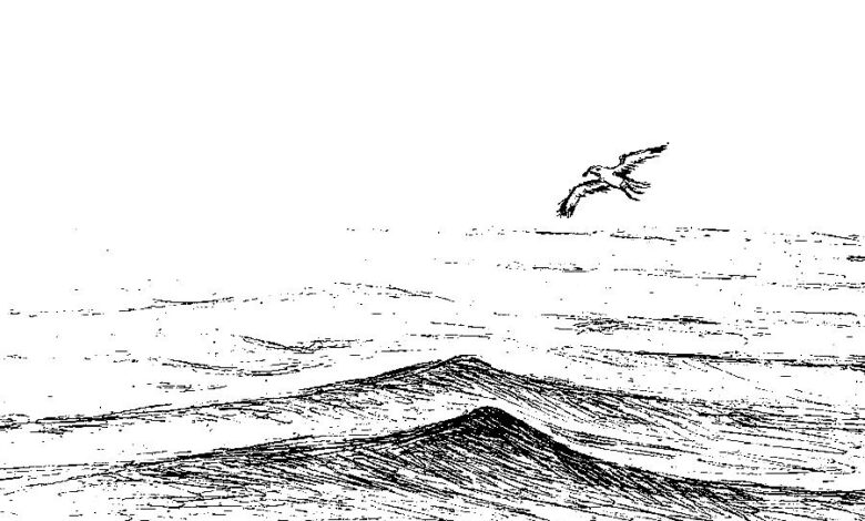 Blue Ocean Coloring Page