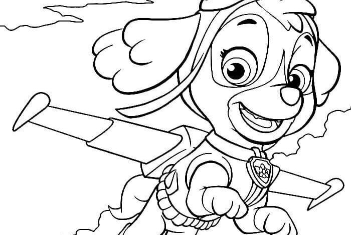 Cartoon Skye Paw Patrol Coloring Page