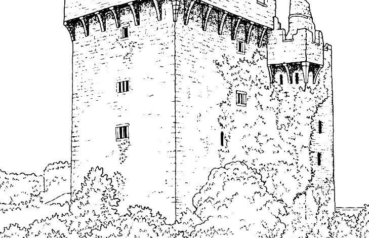 Castle Coloring Pages for Adults