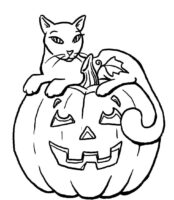 Cat Pumpkin Coloring Page