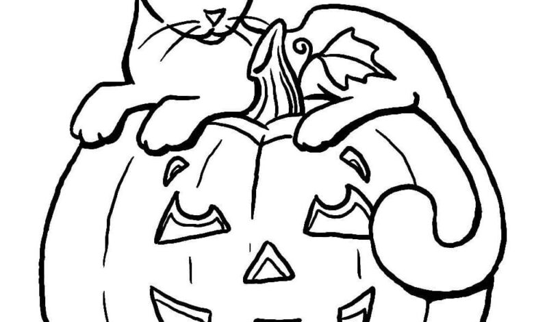 Cat Pumpkin Coloring Page