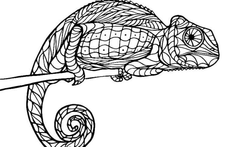 Chameleon Coloring Pages