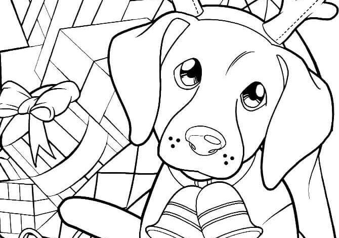 Christmas Puppy Coloring Pages