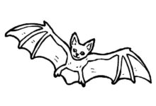 Cute Animal Bat Coloring Page