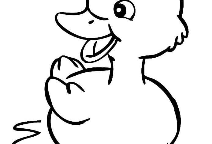 Cute Baby Duck Coloring Page
