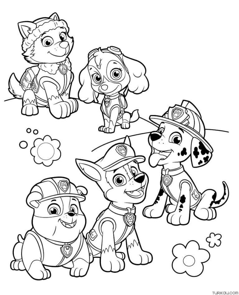 Paw Patrol Toddler Coloring Page