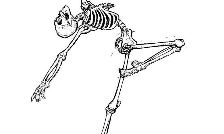 Dance Skeleton Coloring Page