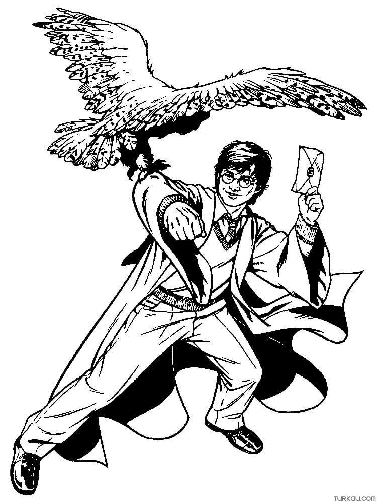 Eagle Harry Potter Coloring Page
