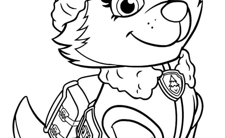 Everest Paw Patrol Coloring Page for Kids