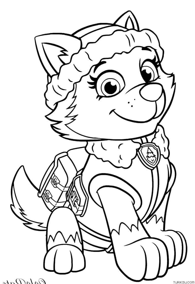 Marshall Paw Patrol Coloring Page For Kids » Turkau