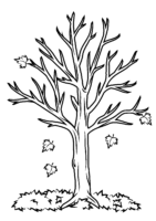 Fallen Tree in Autumn Coloring Page for Adults