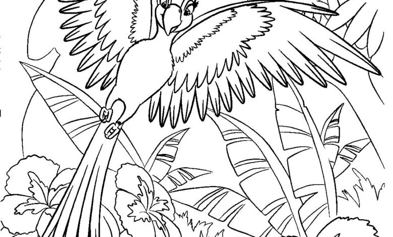 Female Parrot Coloring Page