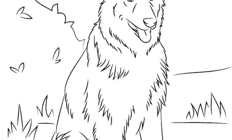 German Shepherd Coloring Pages