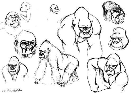 Gorilla Drawings Coloring Page