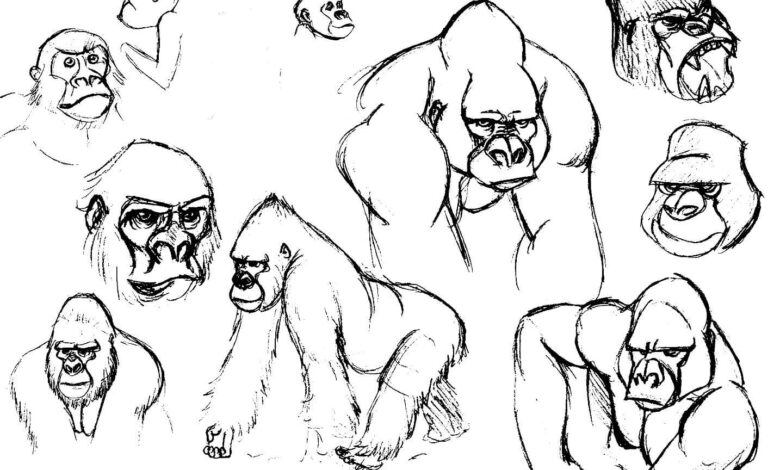 Gorilla Drawings Coloring Page