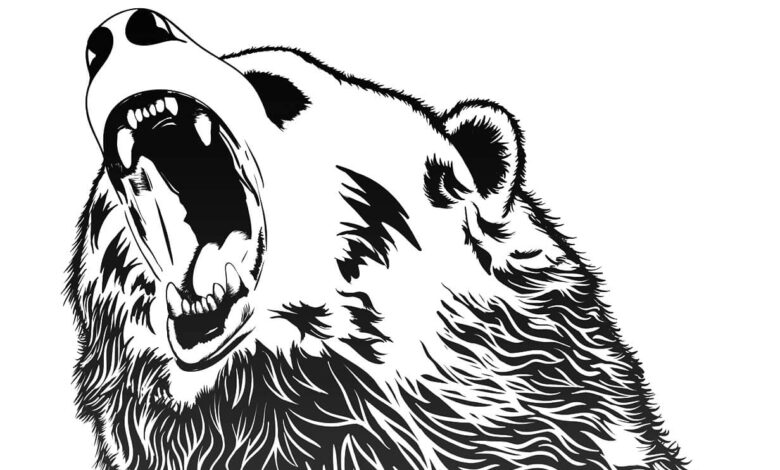 Grizzly Bear Coloring Pages