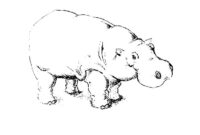 Hippo Coloring Page