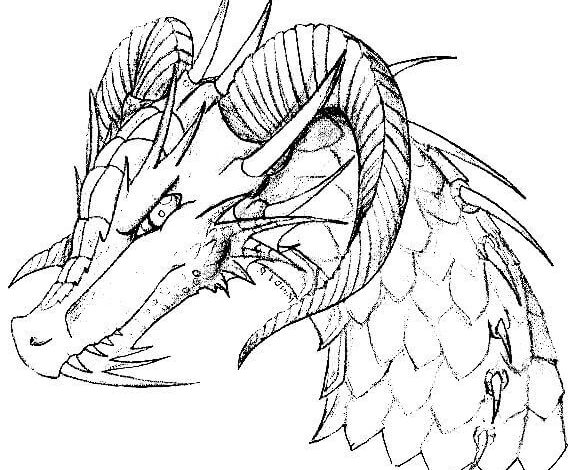 Horned Dragon Coloring Page for Adults