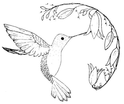 Hummingbird Coloring Page » Turkau