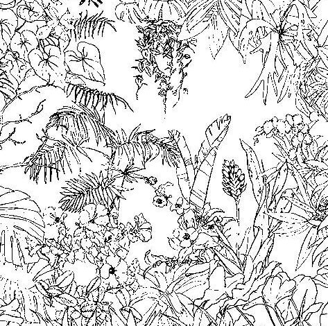 Jungle Coloring Page