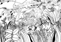 Jungle Coloring Pages