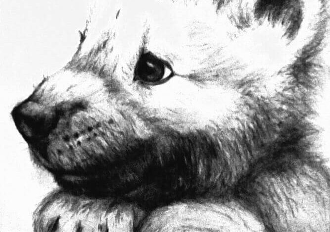 Little Cute Wolf Coloring Page