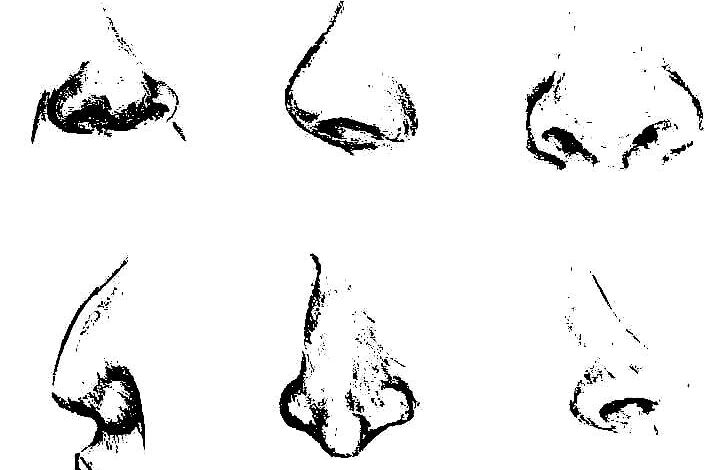 Nose Coloring Pages