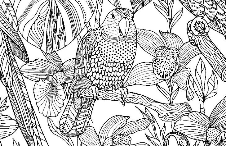 Parrot Mandala Coloring Page