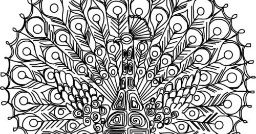 Peacock Coloring Pages for Adults