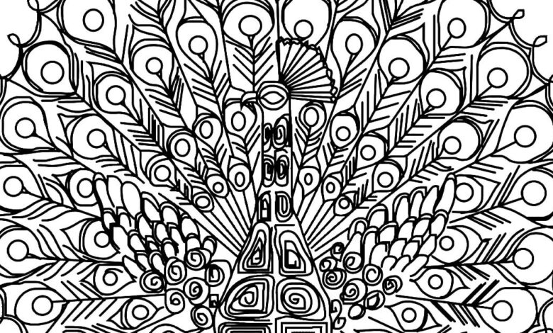 Peacock Coloring Pages for Adults