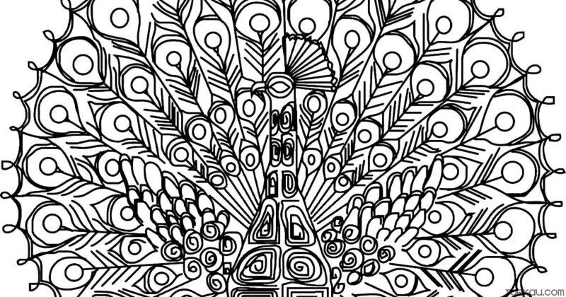 Peacock Coloring Pages For Adults » Turkau