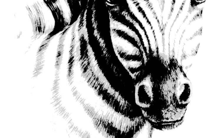 Realistic Animal Coloring Pages