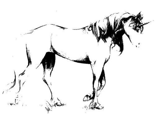 Realistic Unicorn Coloring Page