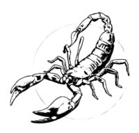 Scorpion Coloring Page