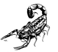 Scorpion Coloring Pages