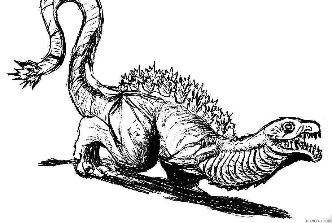 Shin Coloring Pages Coloring Pages