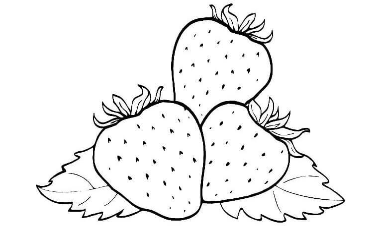 Simple Strawberry Coloring Page