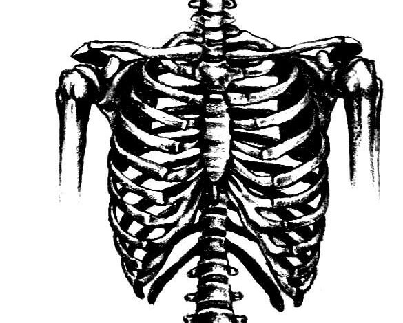 Skeleton Coloring Page for Adults