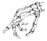 Skeleton Hand Coloring Page