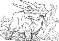 Triceratops Coloring Page