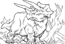 Triceratops Coloring Page