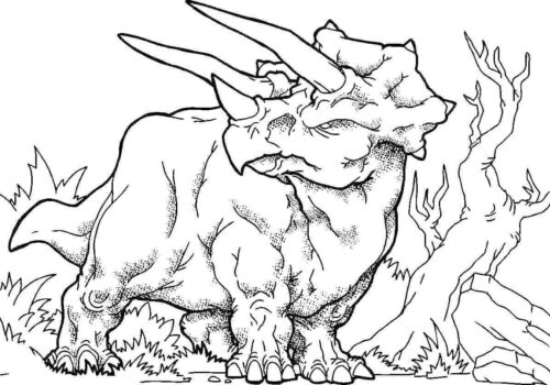 Triceratops Coloring Page
