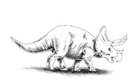 Triceratops Coloring Page for Kids