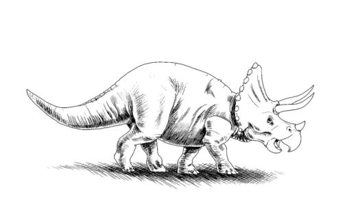 Triceratops Coloring Page for Kids